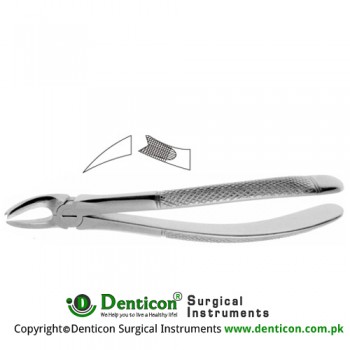 Cowhorn English Pattern Tooth Extracting Forcep Fig. 89 (For Upper Right Molars) Stainless Steel, Standard